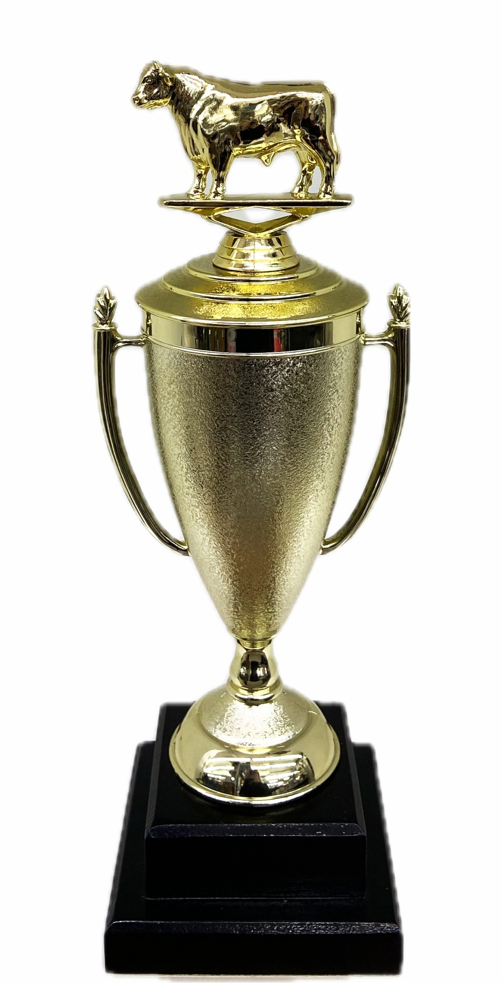 Dairy Bull Trophy 315mm