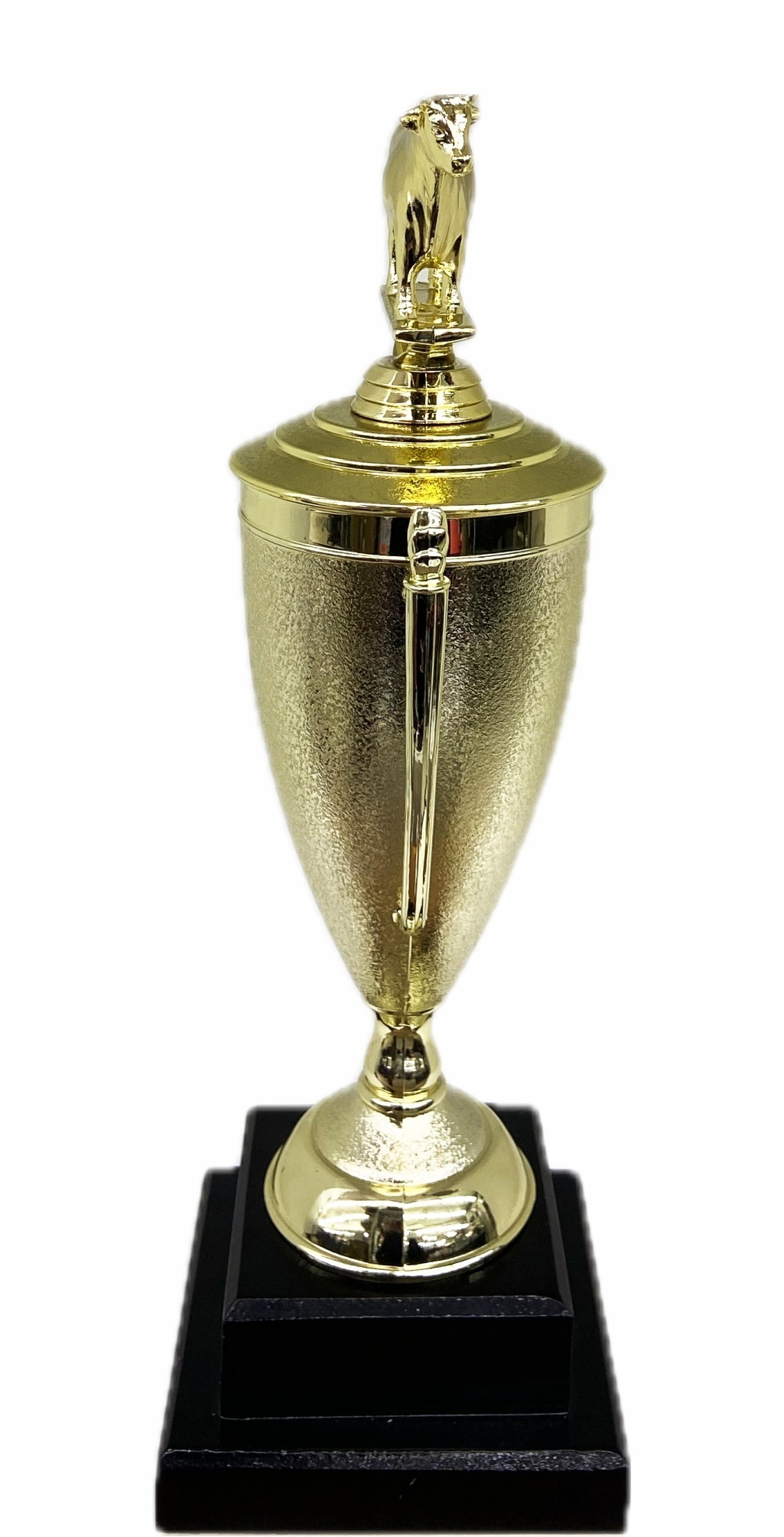 Dairy Bull Trophy 315mm