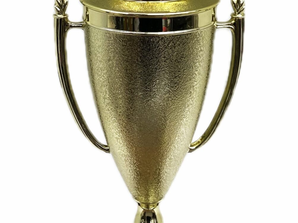 Dairy Bull Trophy 315mm