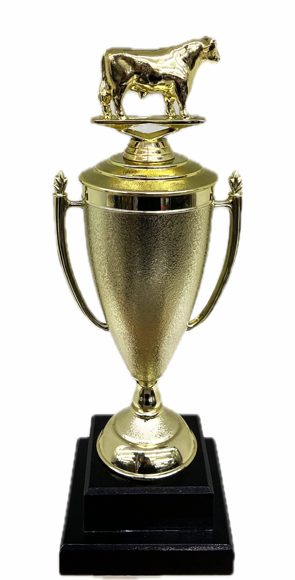 Dairy Bull Trophy 315mm