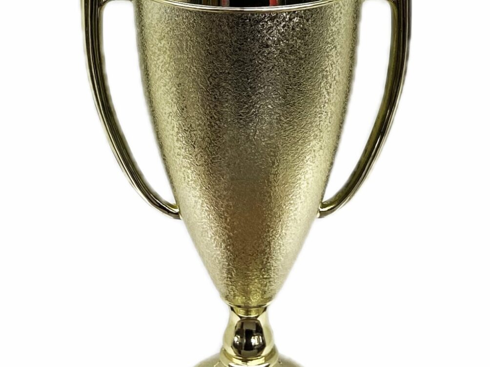 Dairy Bull Trophy 355mm