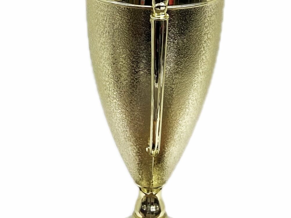 Dairy Bull Trophy 355mm