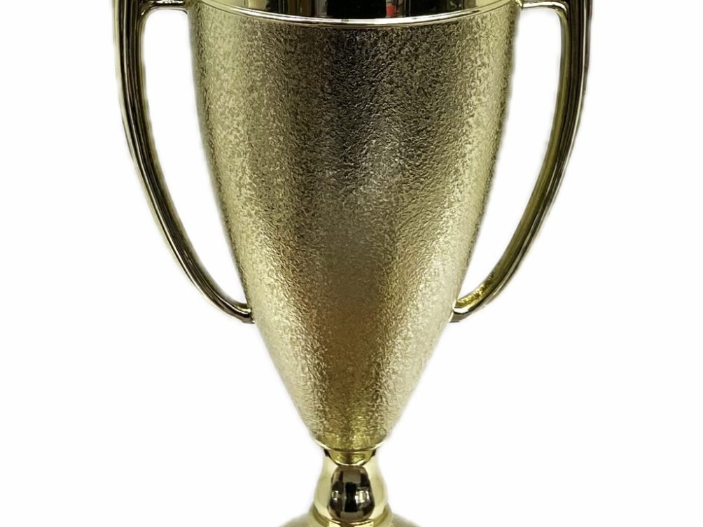Dairy Bull Trophy 355mm