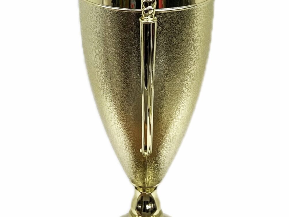 Dairy Bull Trophy 355mm