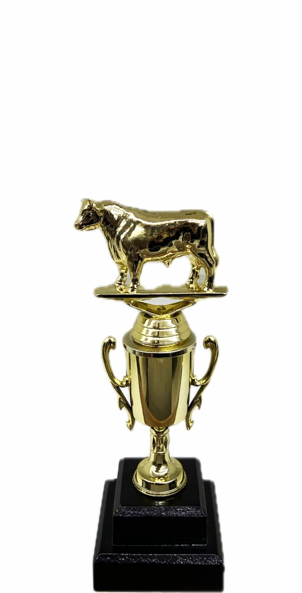 Hereford Steer Trophy 215mm