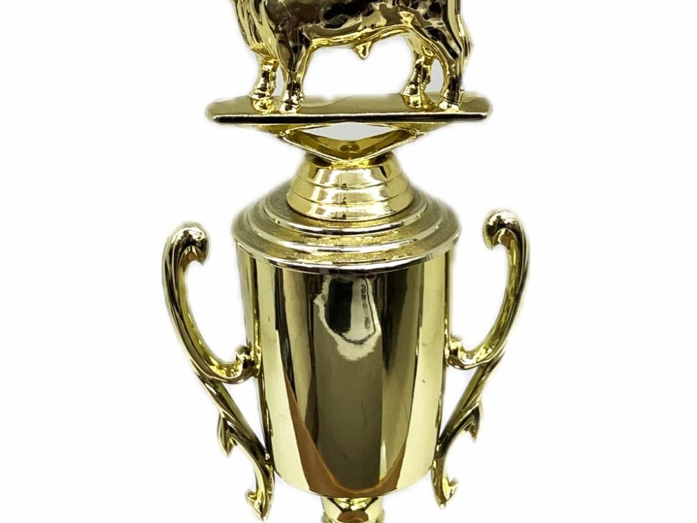 Dairy Bull Trophy 240mm