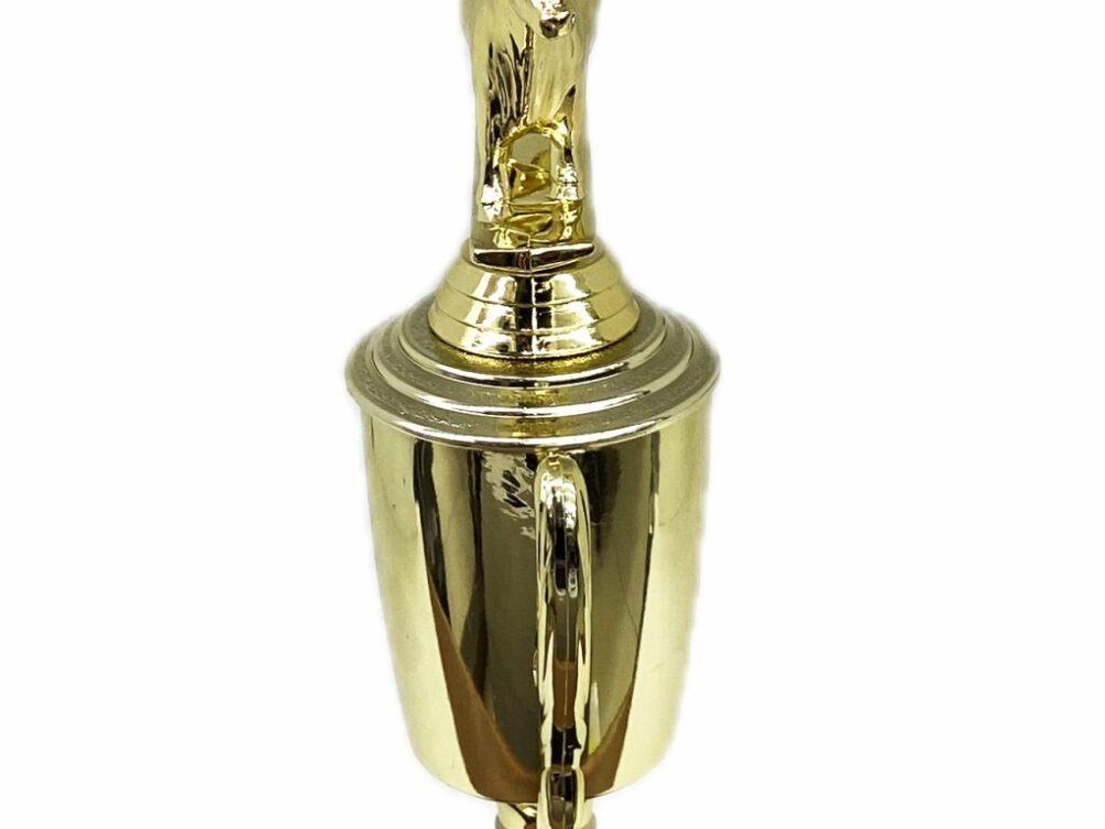 Dairy Bull Trophy 240mm