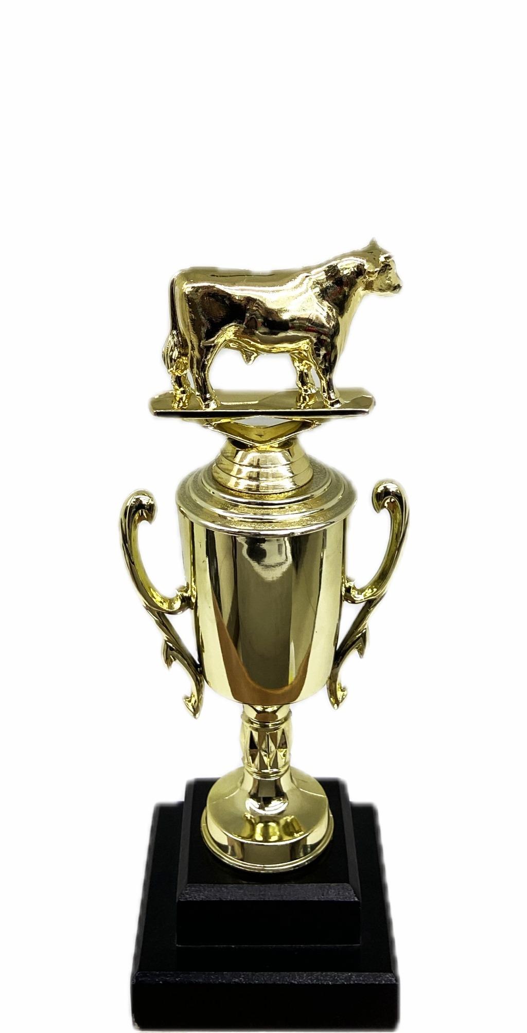 Dairy Bull Trophy 240mm
