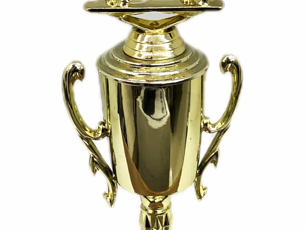Dairy Bull Trophy 275mm