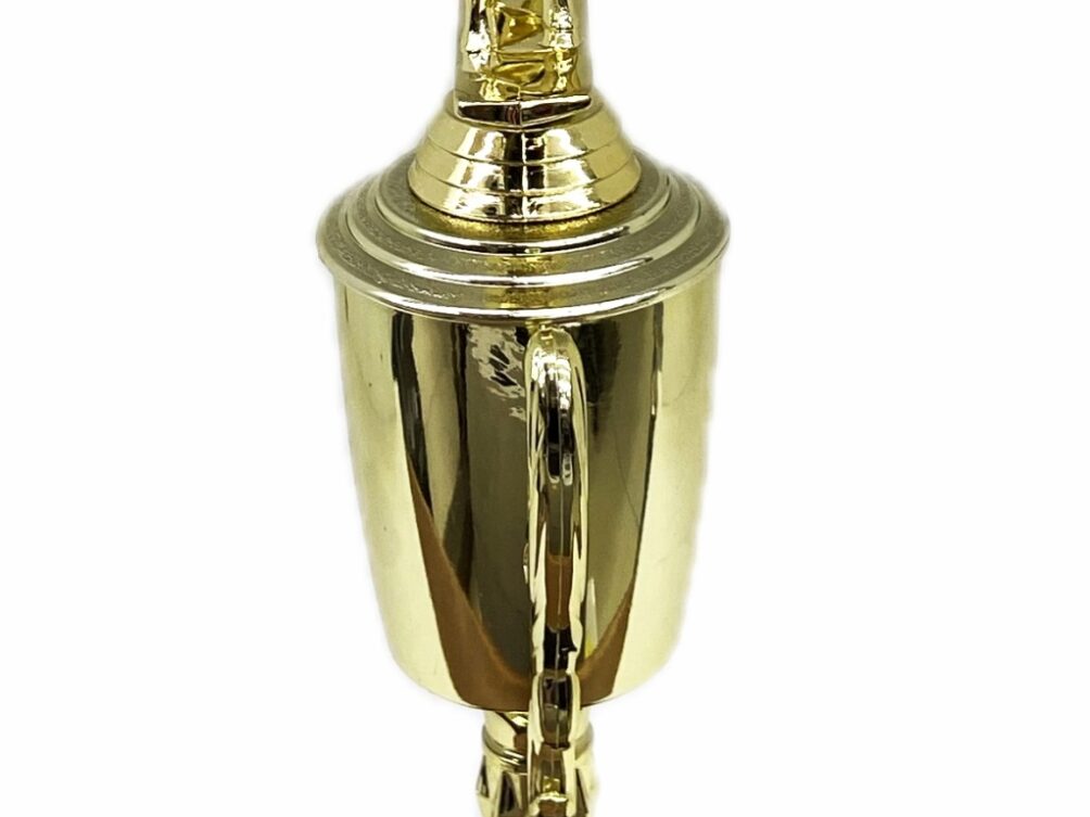 Dairy Bull Trophy 275mm
