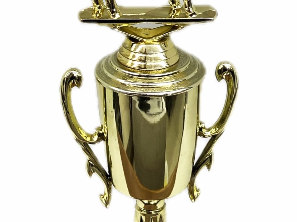 Dairy Bull Trophy 275mm