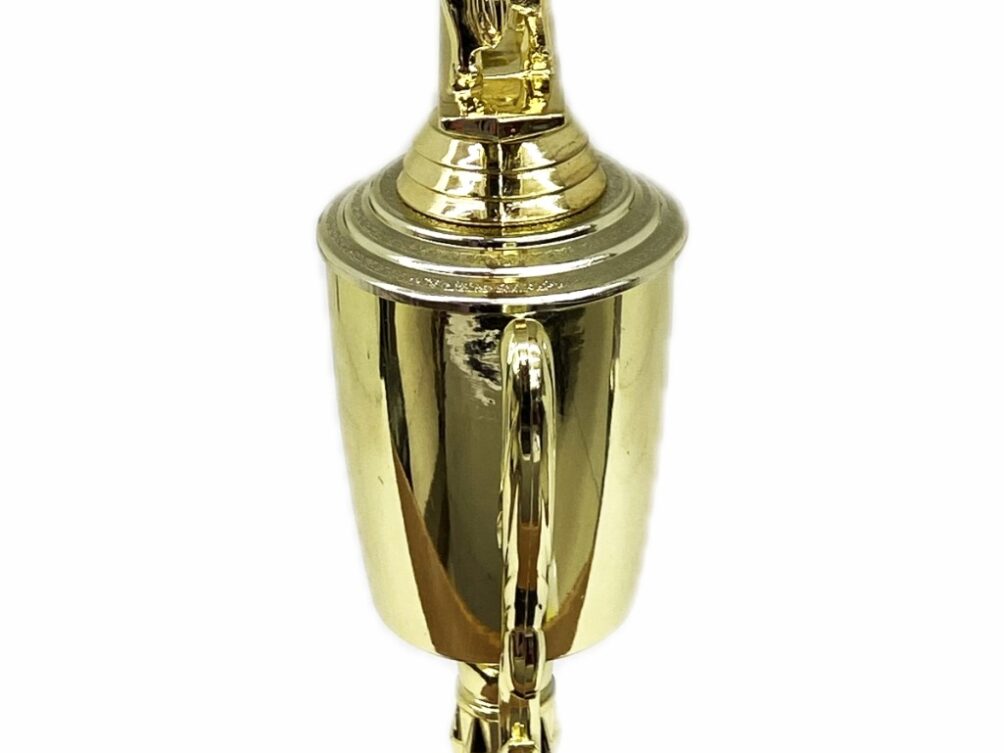 Dairy Bull Trophy 275mm