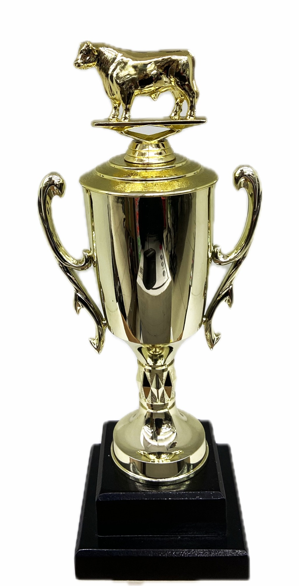 Dairy Bull Trophy 315mm