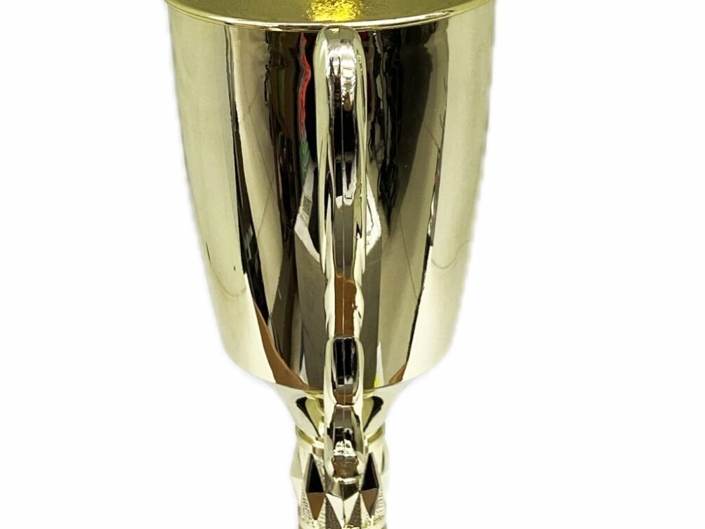 Dairy Bull Trophy 315mm