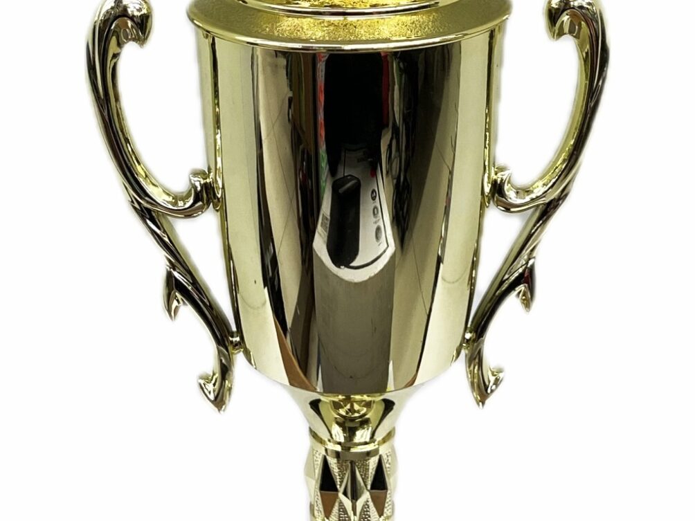 Dairy Bull Trophy 315mm