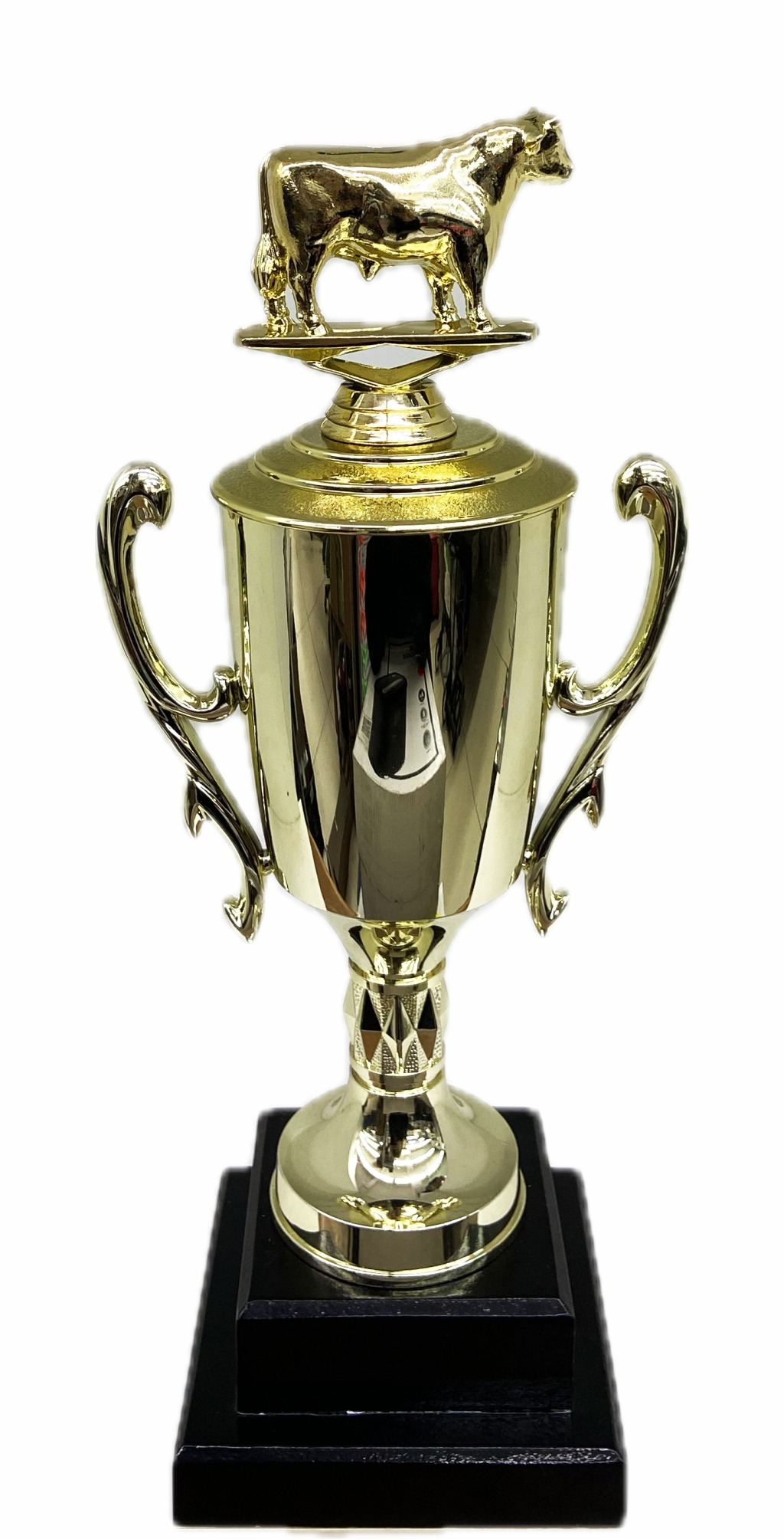 Dairy Bull Trophy 315mm