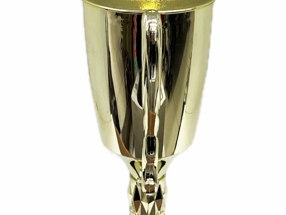 Dairy Bull Trophy 315mm