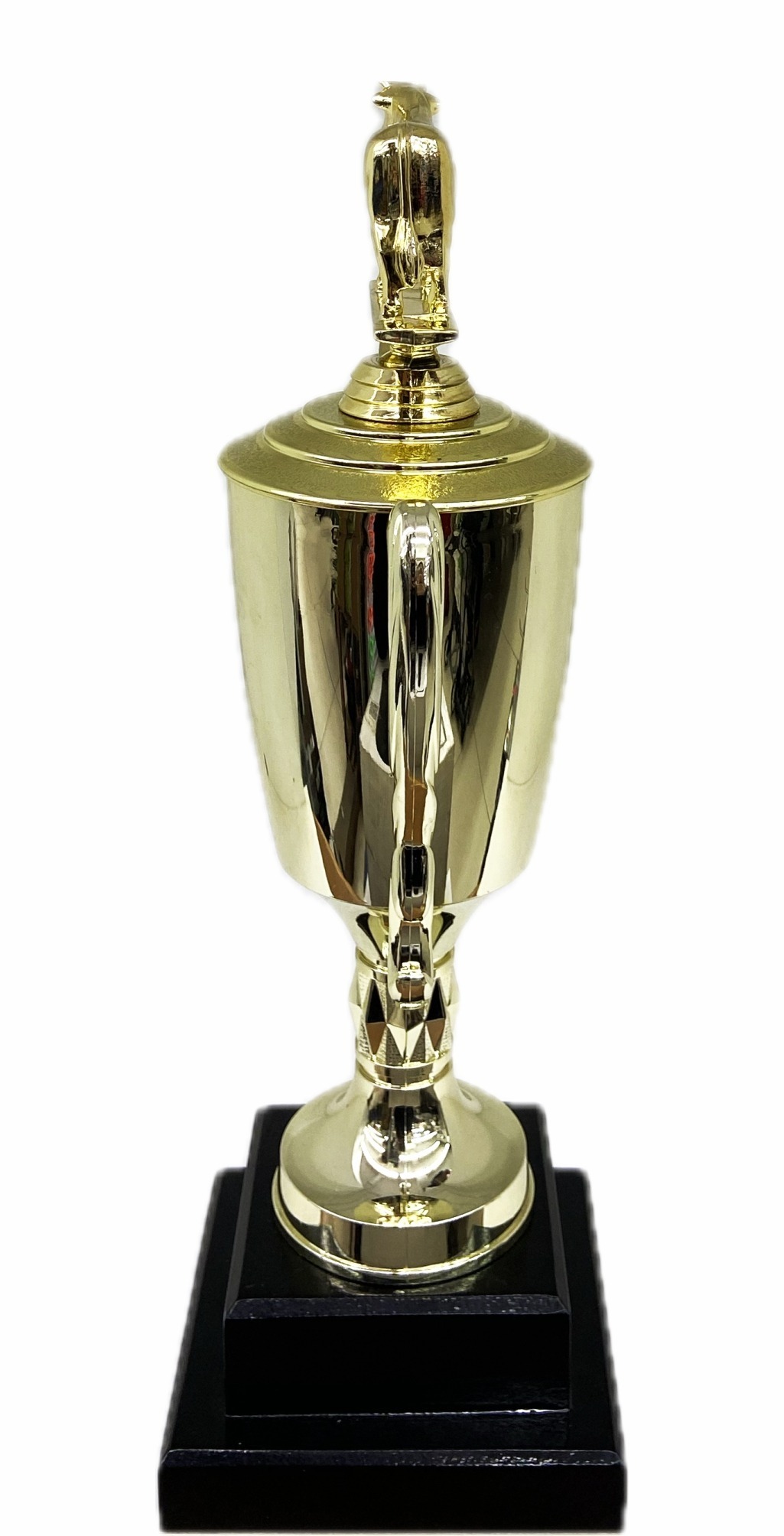 Dairy Bull Trophy 315mm