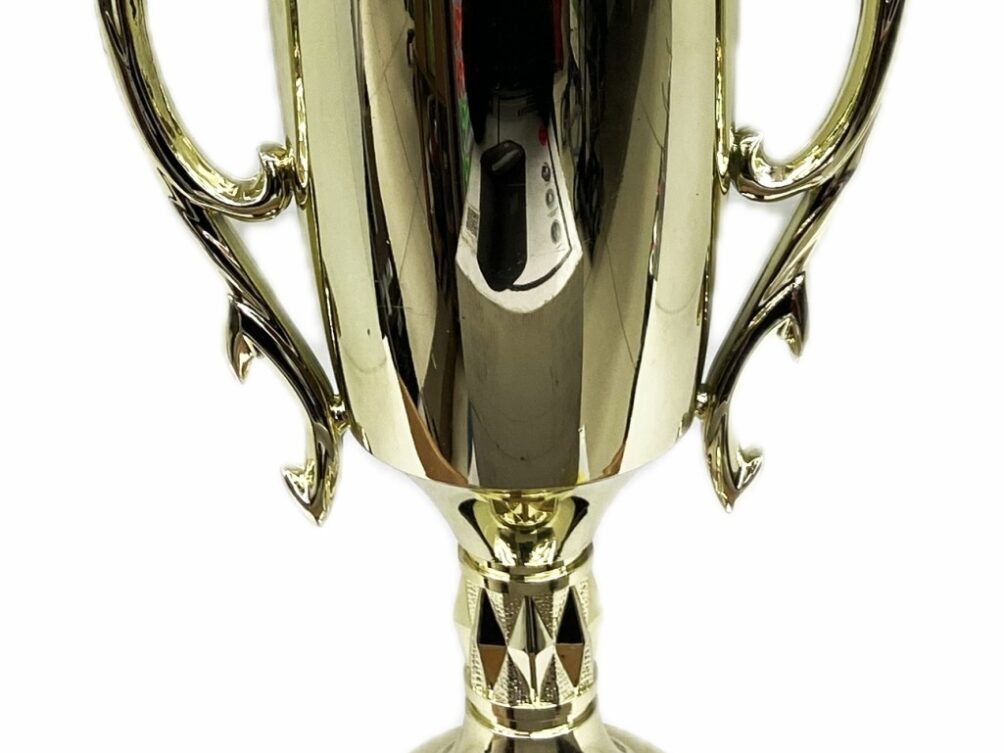 Dairy Bull Trophy 355mm