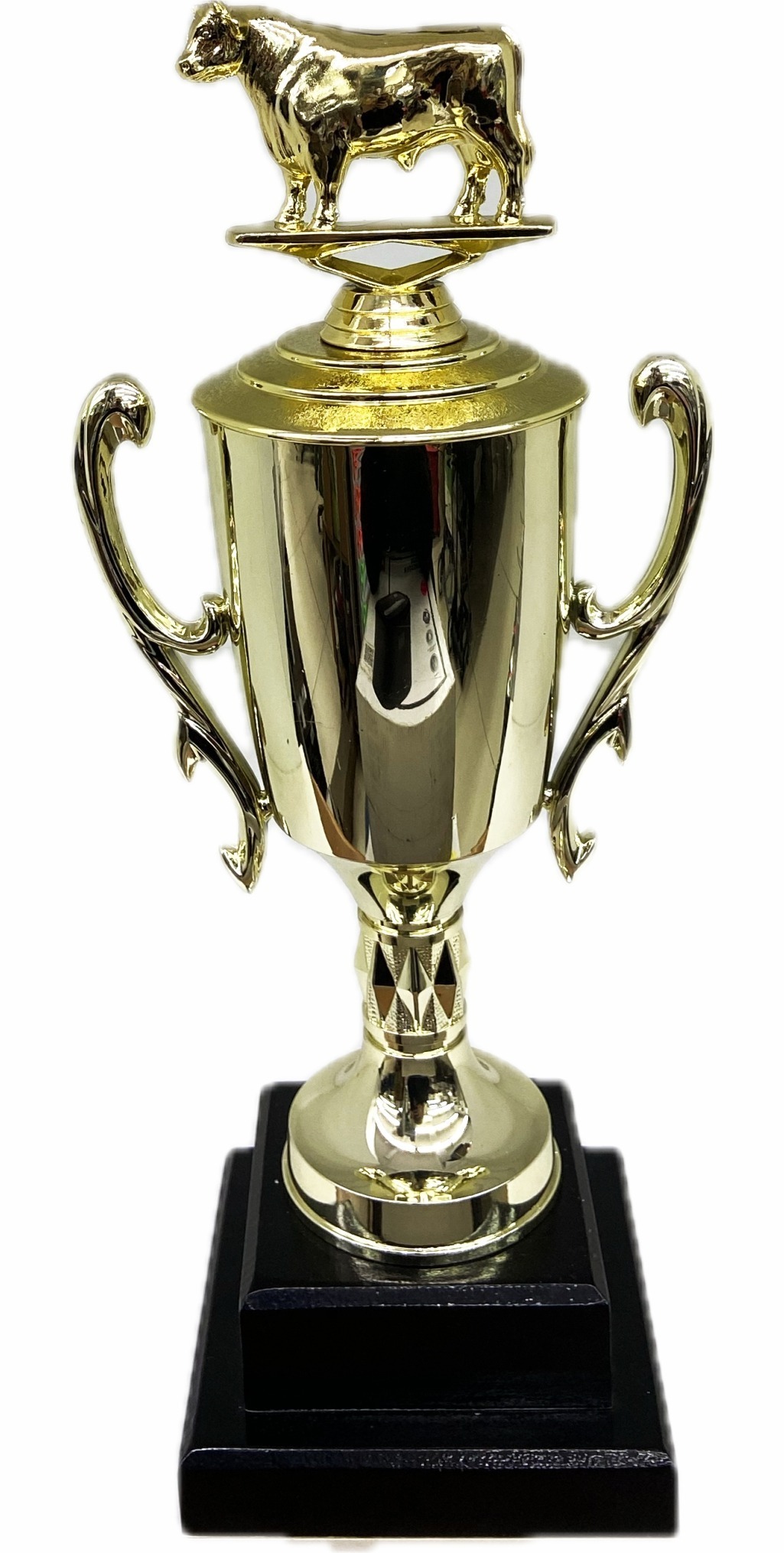 Dairy Bull Trophy 355mm