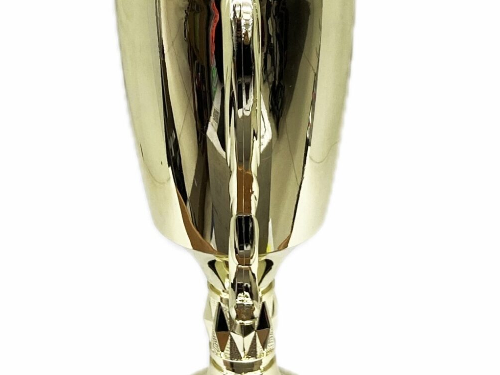 Dairy Bull Trophy 355mm