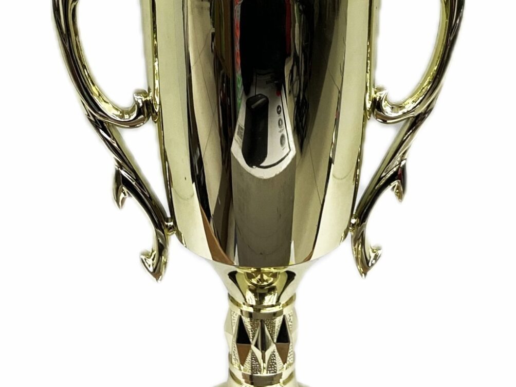 Dairy Bull Trophy 355mm