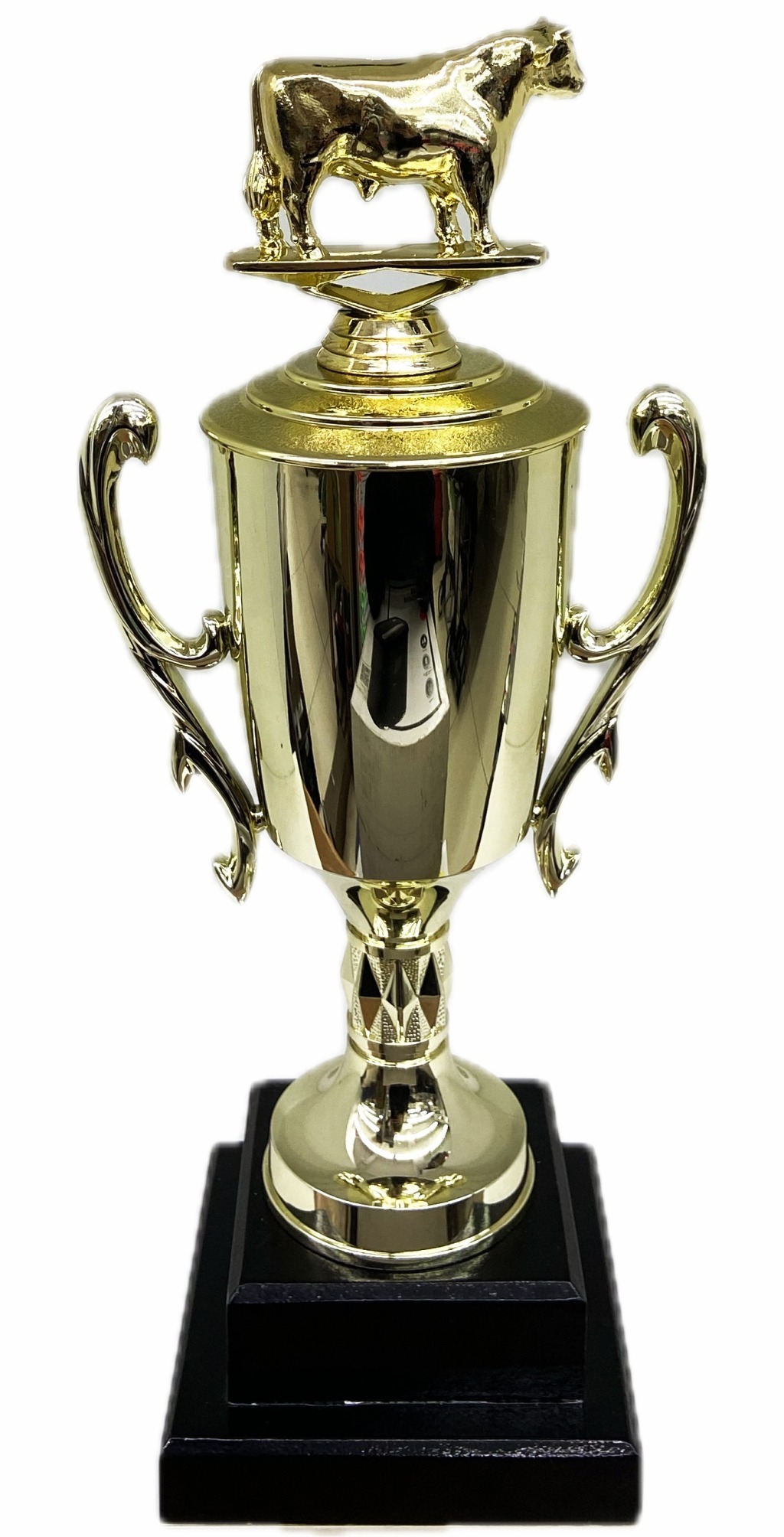 Dairy Bull Trophy 355mm