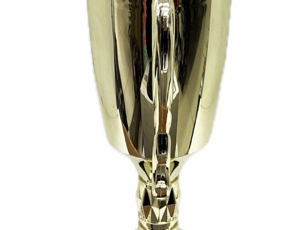 Dairy Bull Trophy 355mm