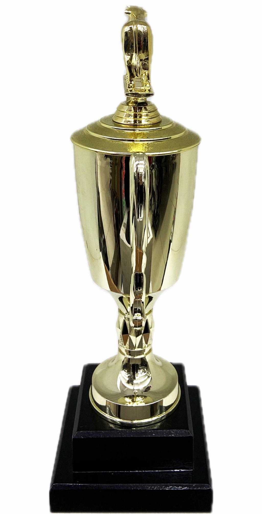 Dairy Bull Trophy 355mm