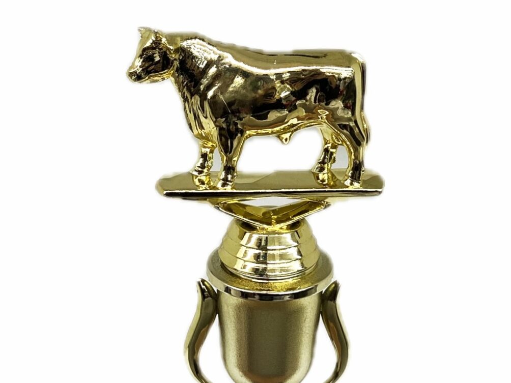 Dairy Bull Trophy 215mm