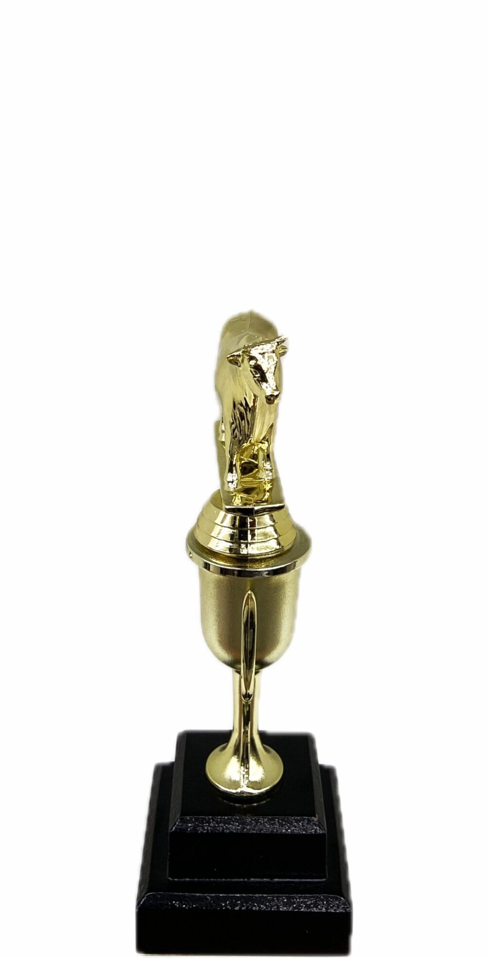 Dairy Bull Trophy 215mm