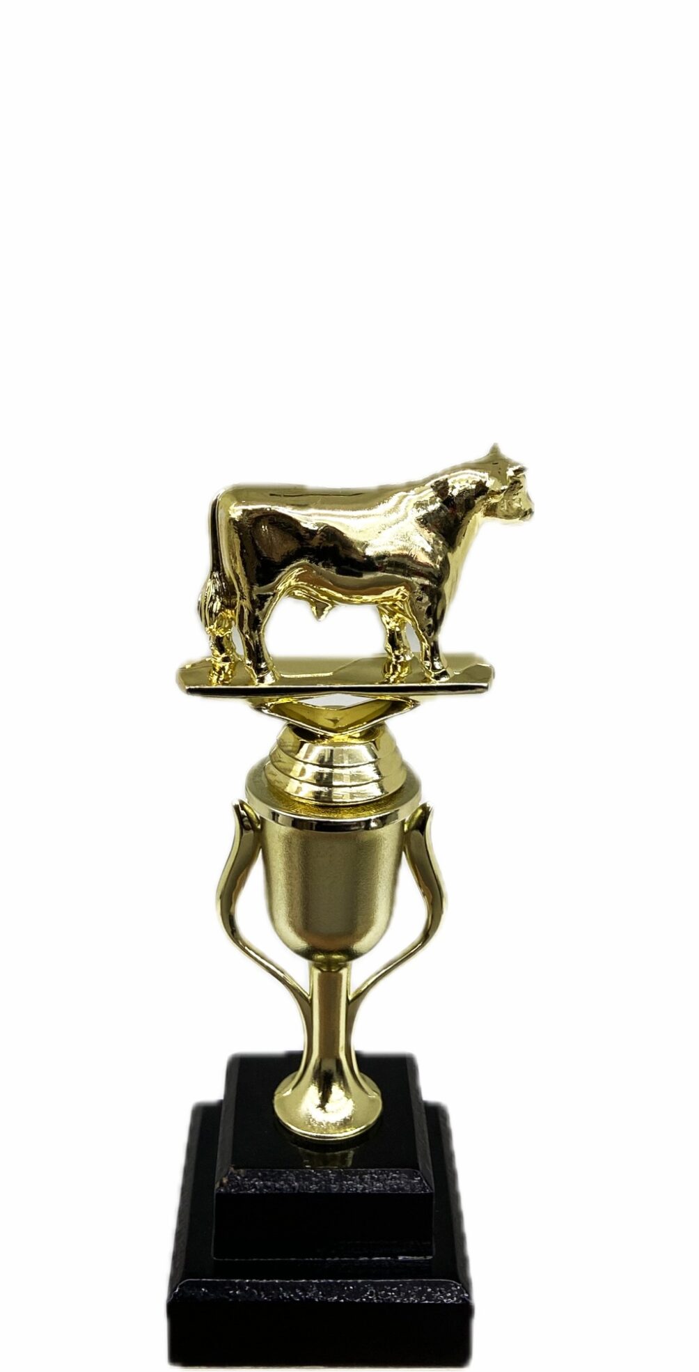 Dairy Bull Trophy 215mm