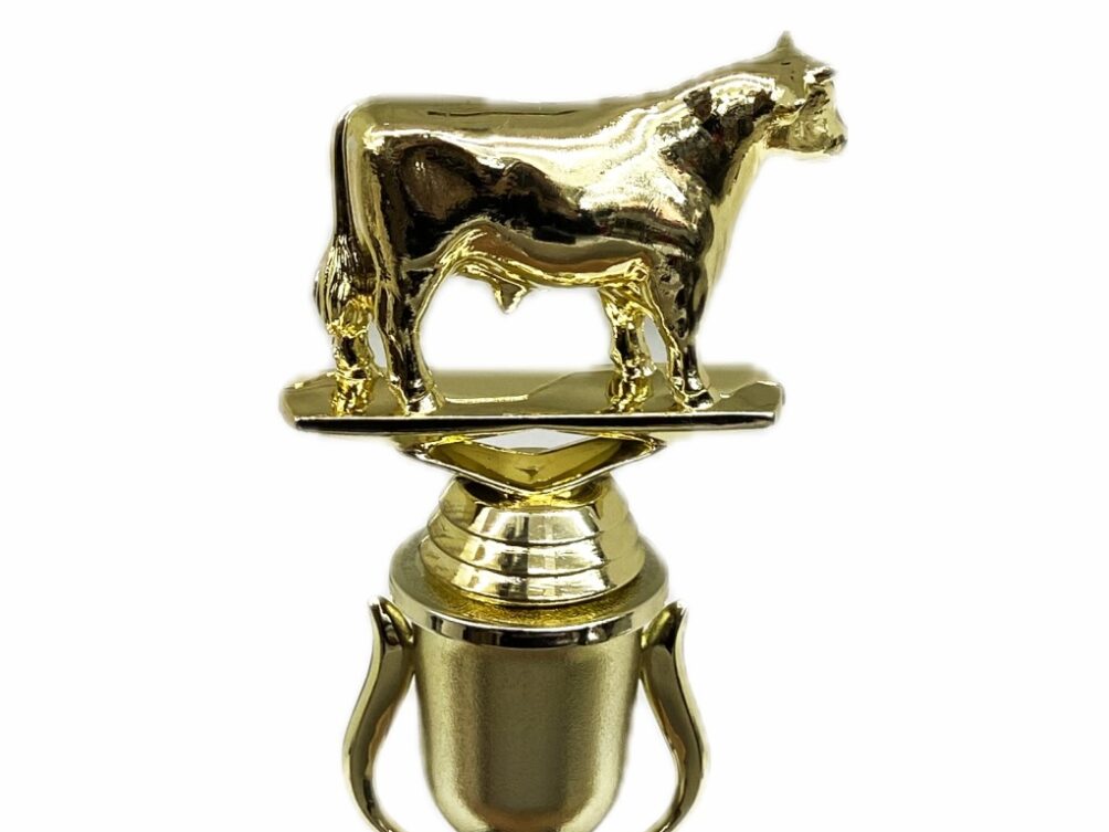 Dairy Bull Trophy 215mm