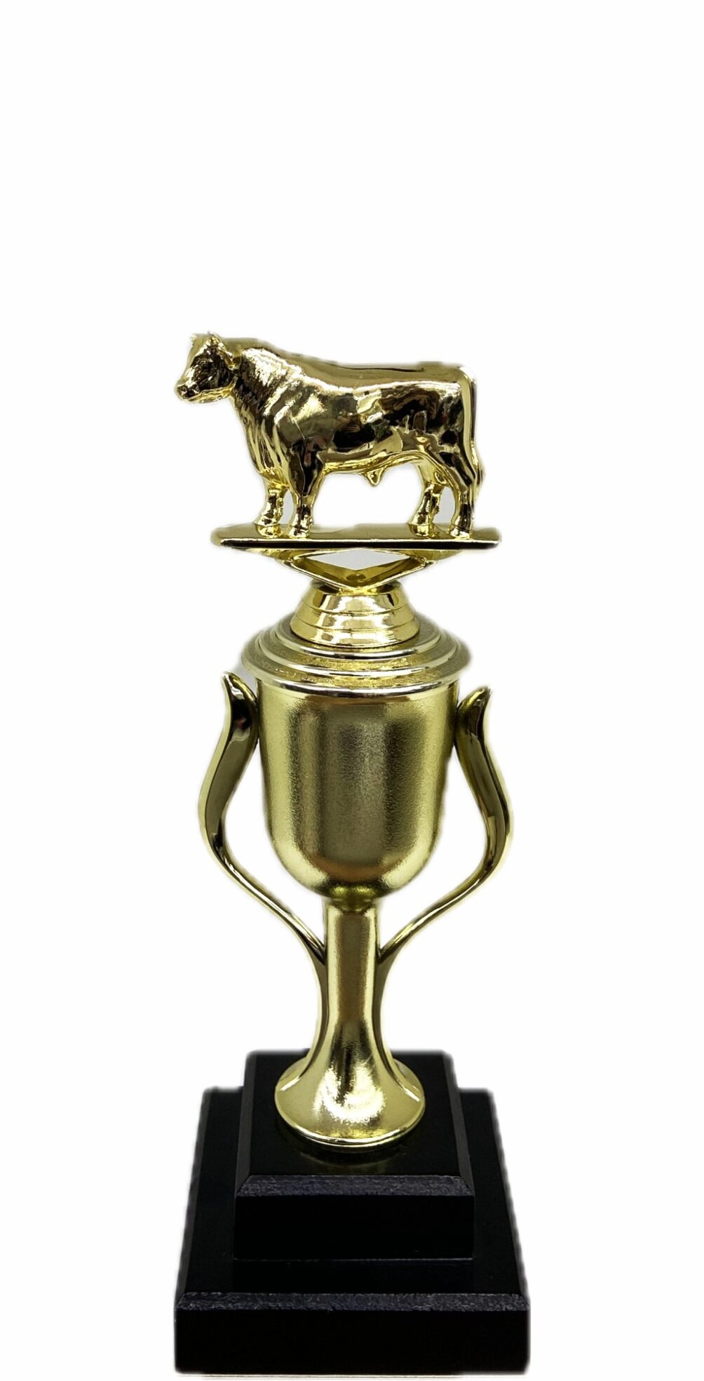 Dairy Bull Trophy 240mm