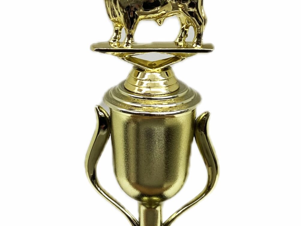 Dairy Bull Trophy 240mm