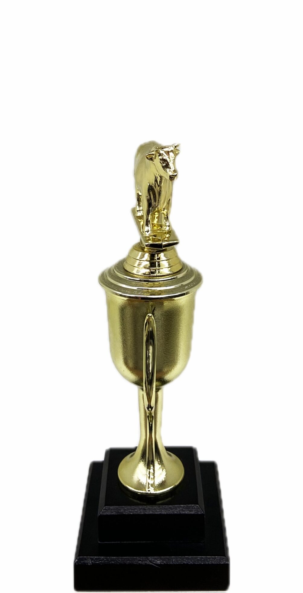 Dairy Bull Trophy 240mm