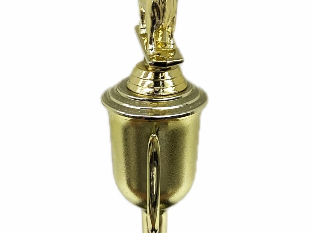 Dairy Bull Trophy 240mm
