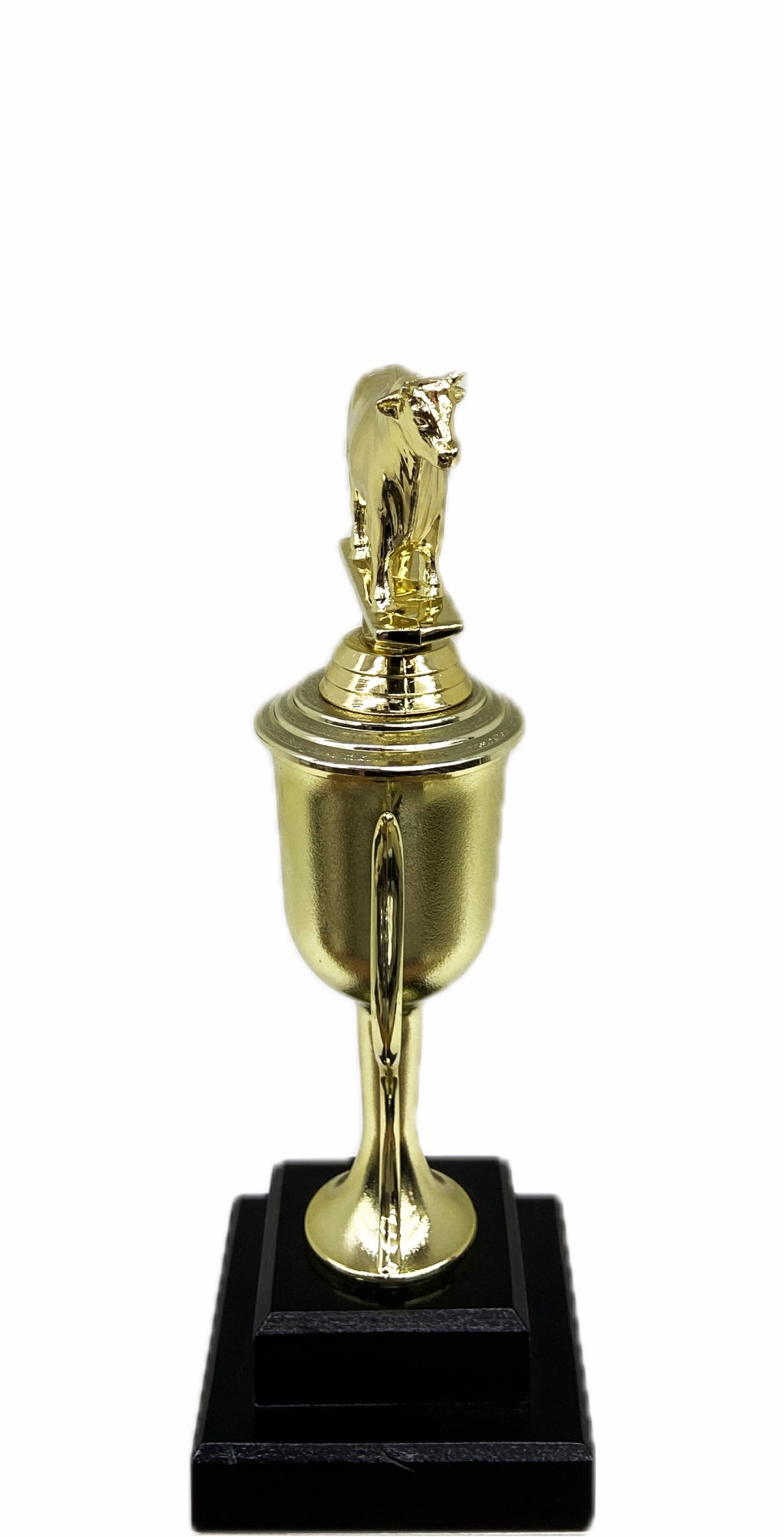 Dairy Bull Trophy 240mm
