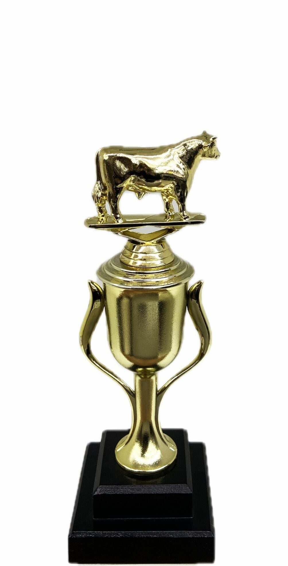 Dairy Bull Trophy 240mm