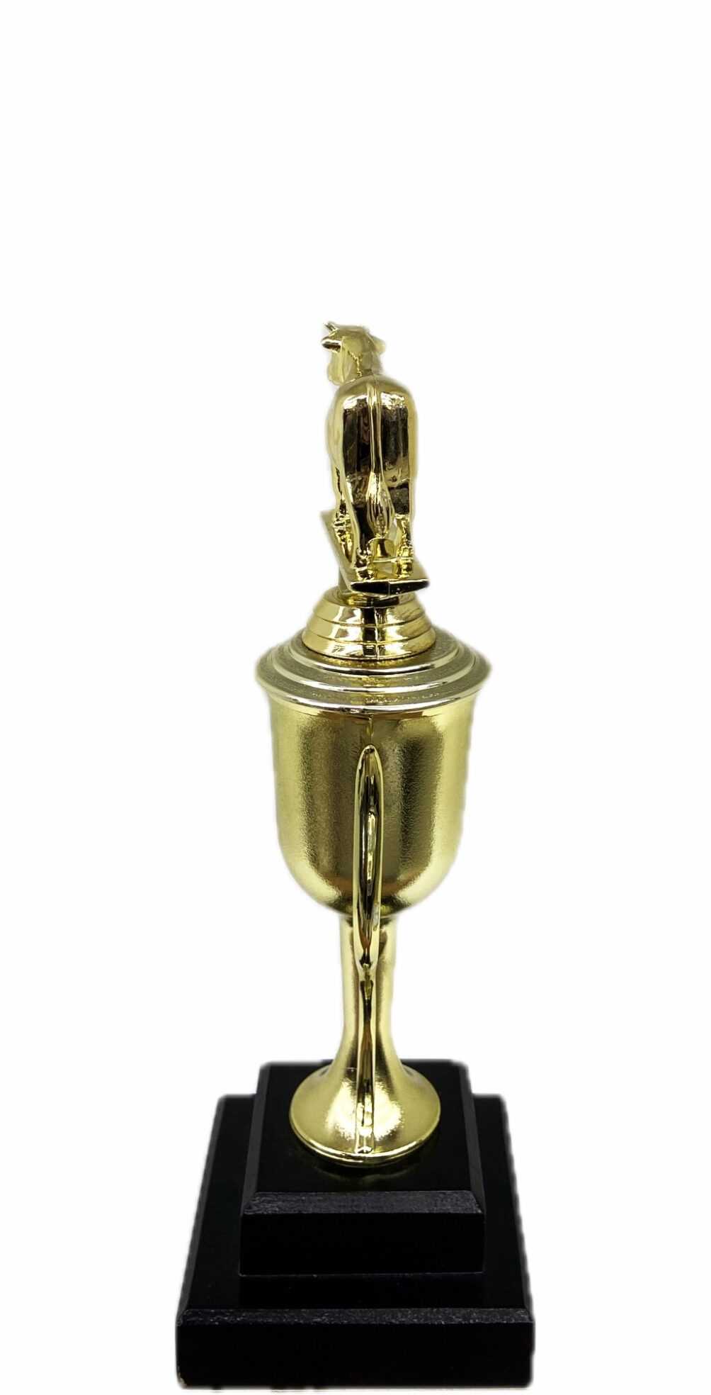 Dairy Bull Trophy 240mm