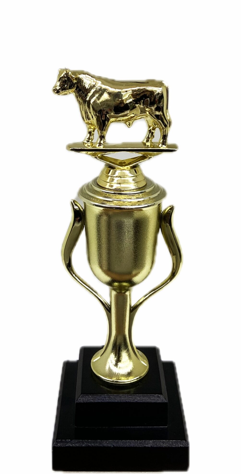 Dairy Bull Trophy 275mm