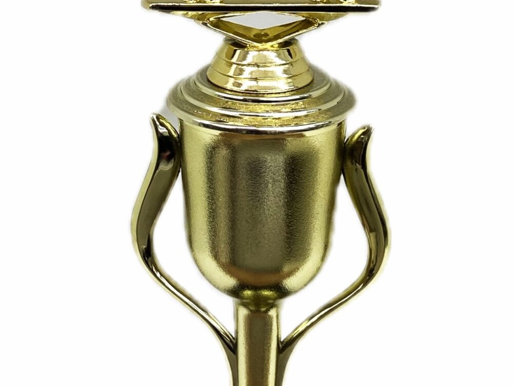 Dairy Bull Trophy 275mm