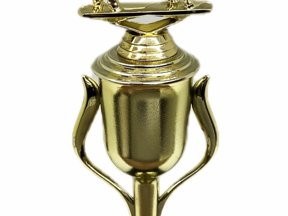 Dairy Bull Trophy 275mm