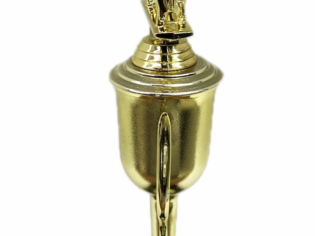 Dairy Bull Trophy 275mm