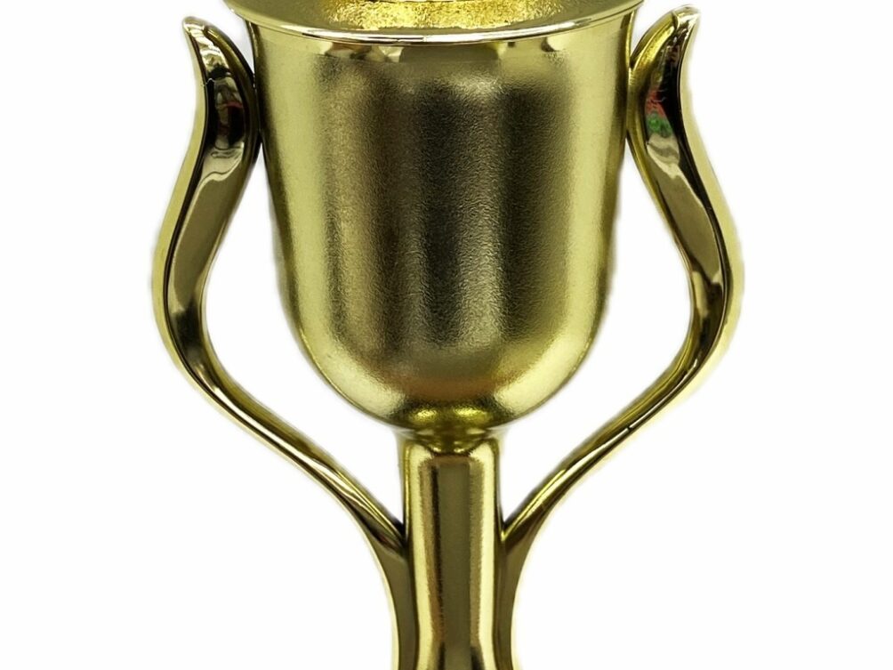 Dairy Bull Trophy 315mm