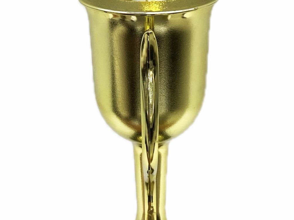 Dairy Bull Trophy 315mm