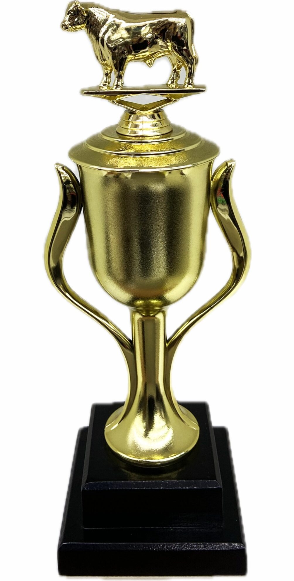 Dairy Bull Trophy 355mm