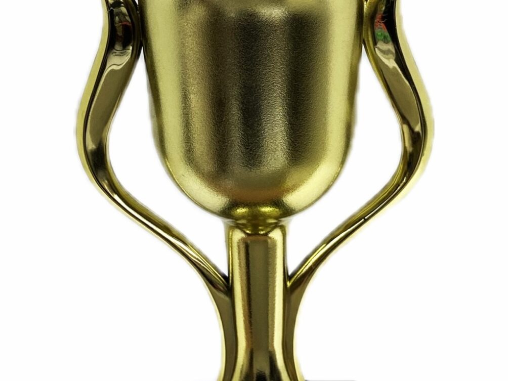 Dairy Bull Trophy 355mm