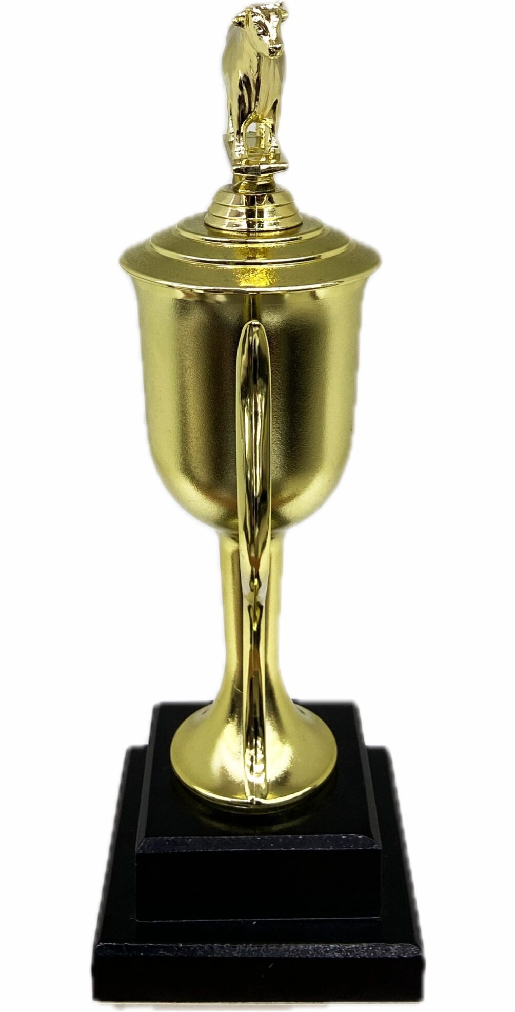 Dairy Bull Trophy 355mm
