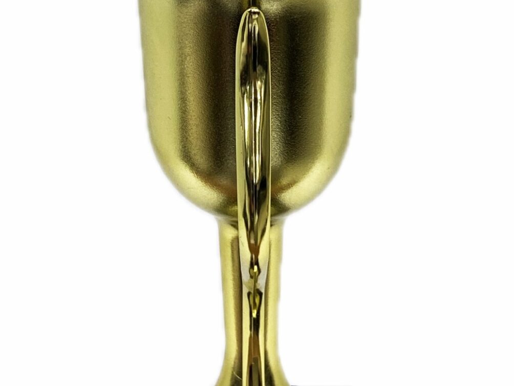 Dairy Bull Trophy 355mm